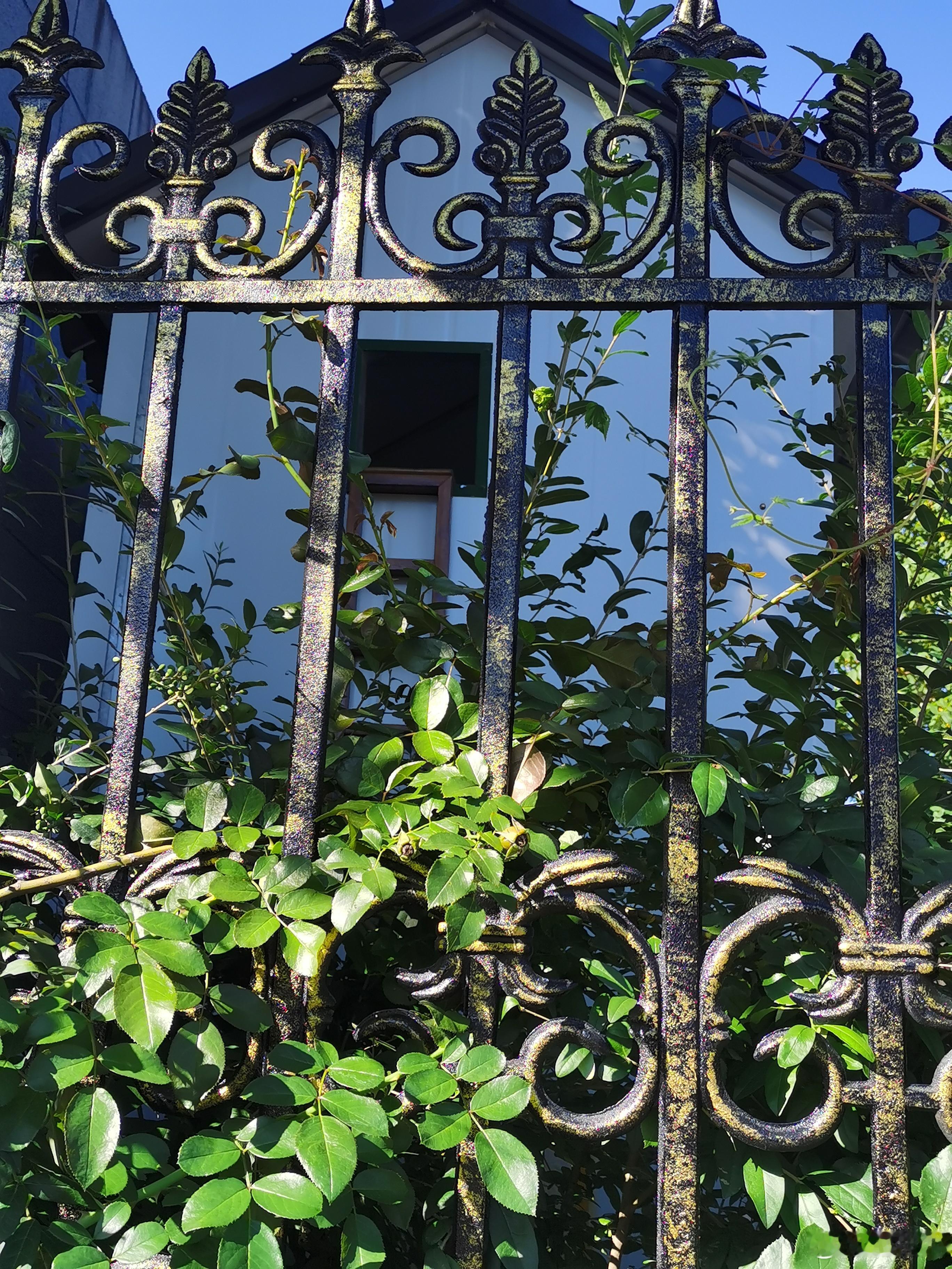邻居家高大上户外猫房，还有梯子上二楼[心] ​​​