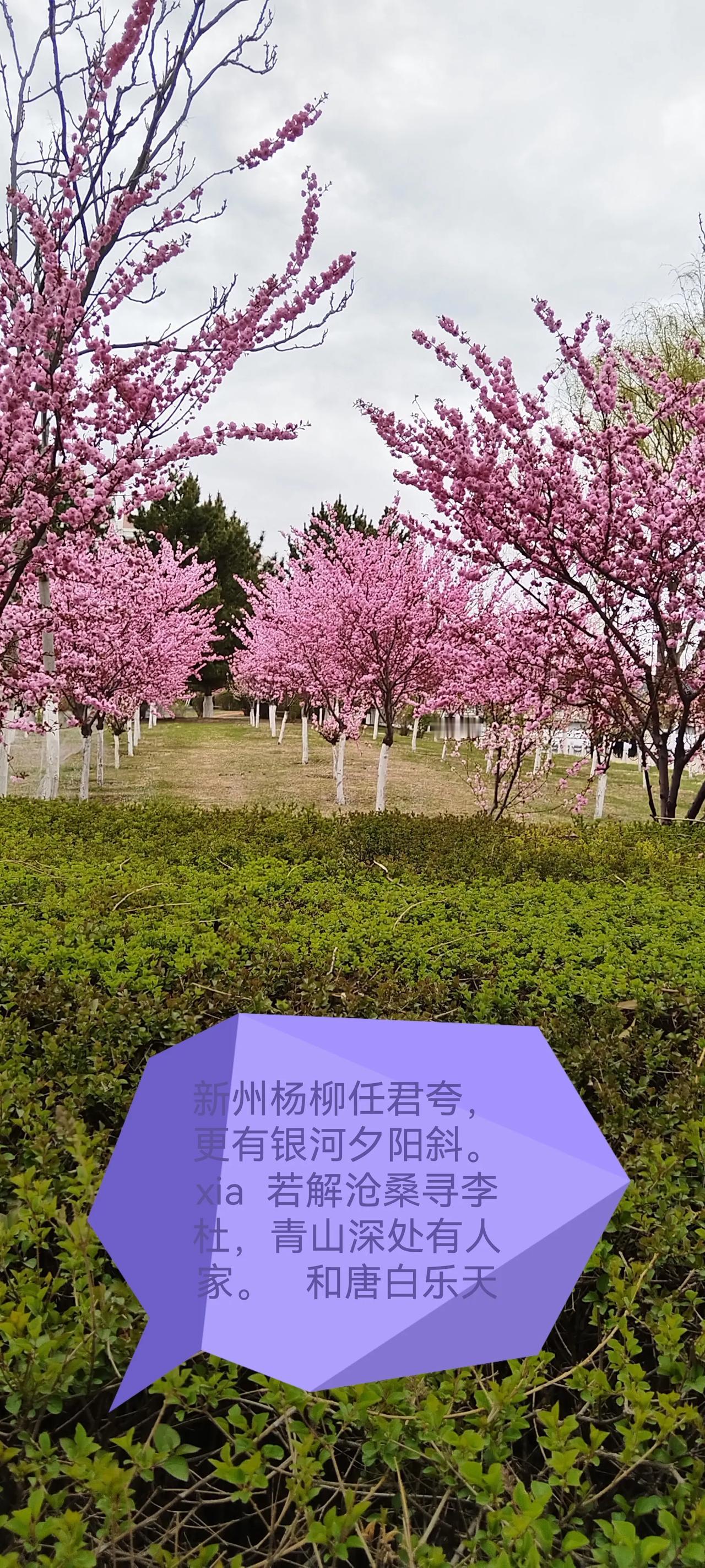 五一游银河公园🏞