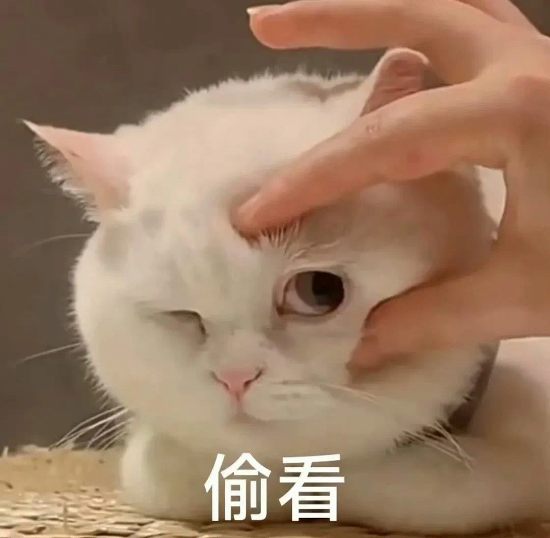 有字可爱的小猫咪表情包 ​​​