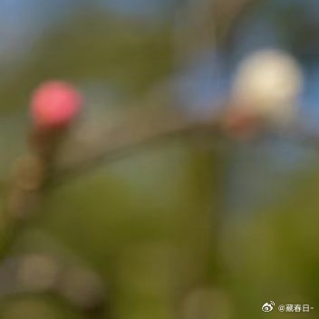 0000千帆过后，要学会坚强，学会忍耐，学会从容；顺境时，多一份思索，逆境时，多