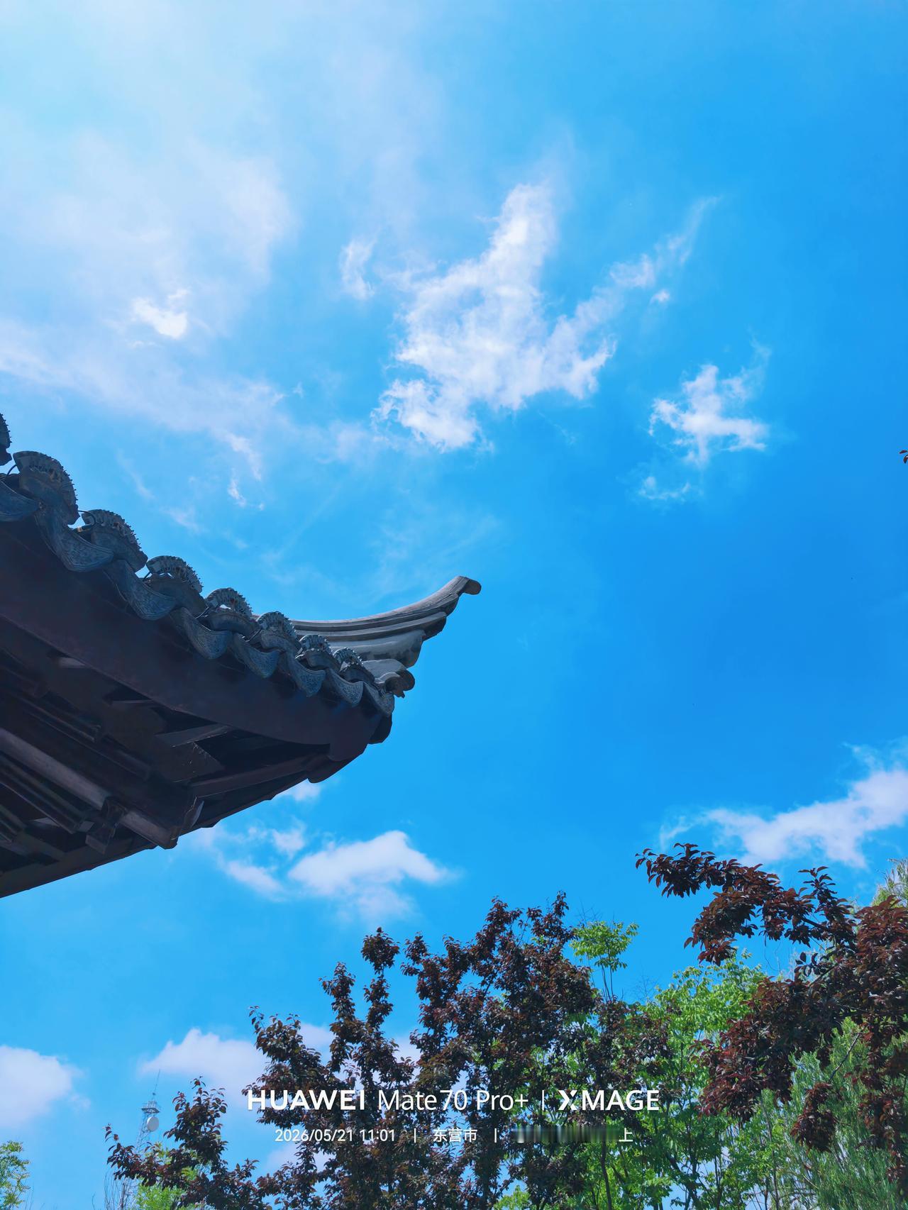 东营专属的绿野仙踪:木犀花境
东营这是一个宜居的城市，除了物价高以外，或许还得加