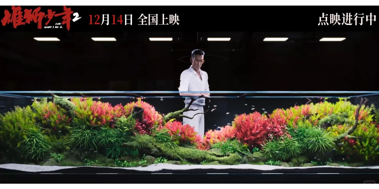 《雄狮少年2》的导演是草缸爱好者吧！