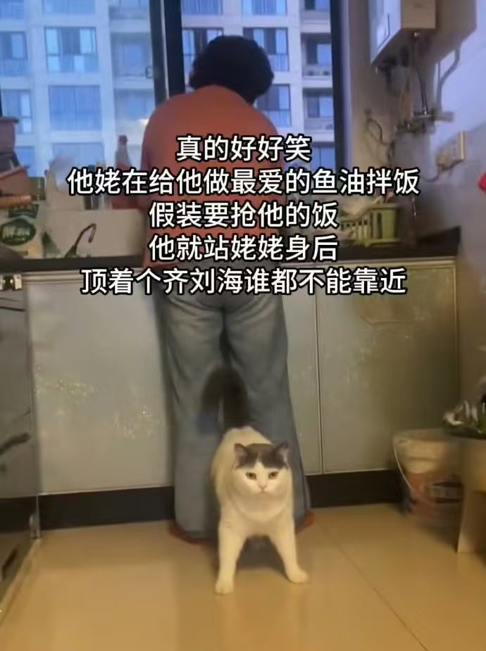 一猪当关 ​​​