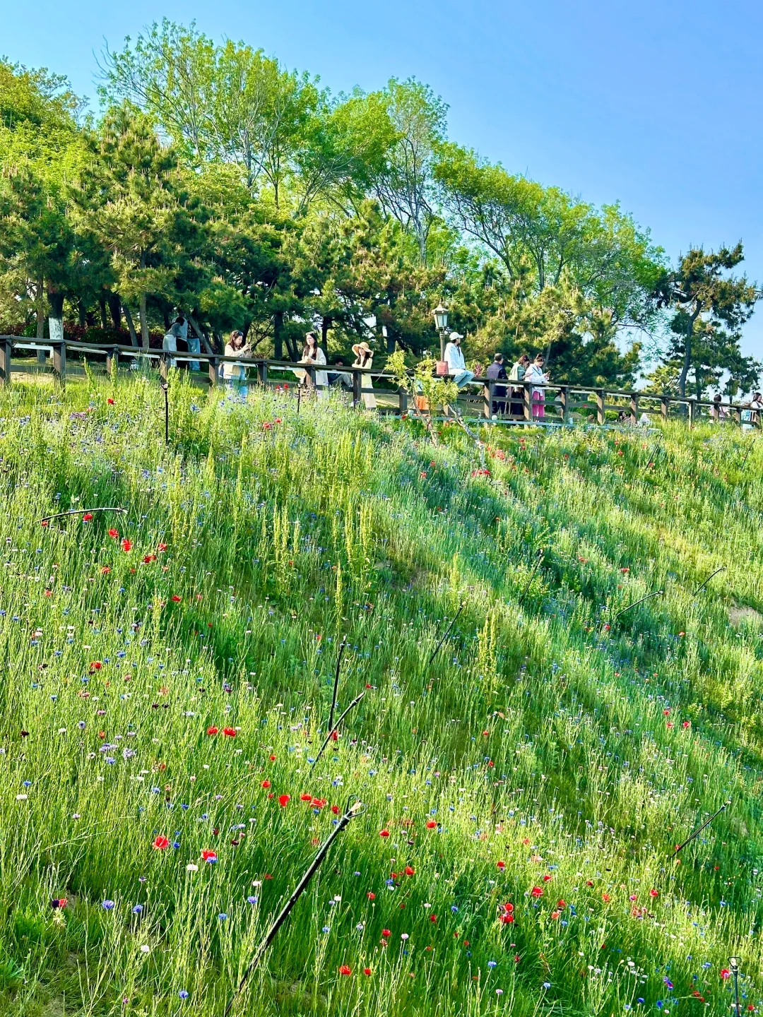 5.8燕儿岛公园实况~