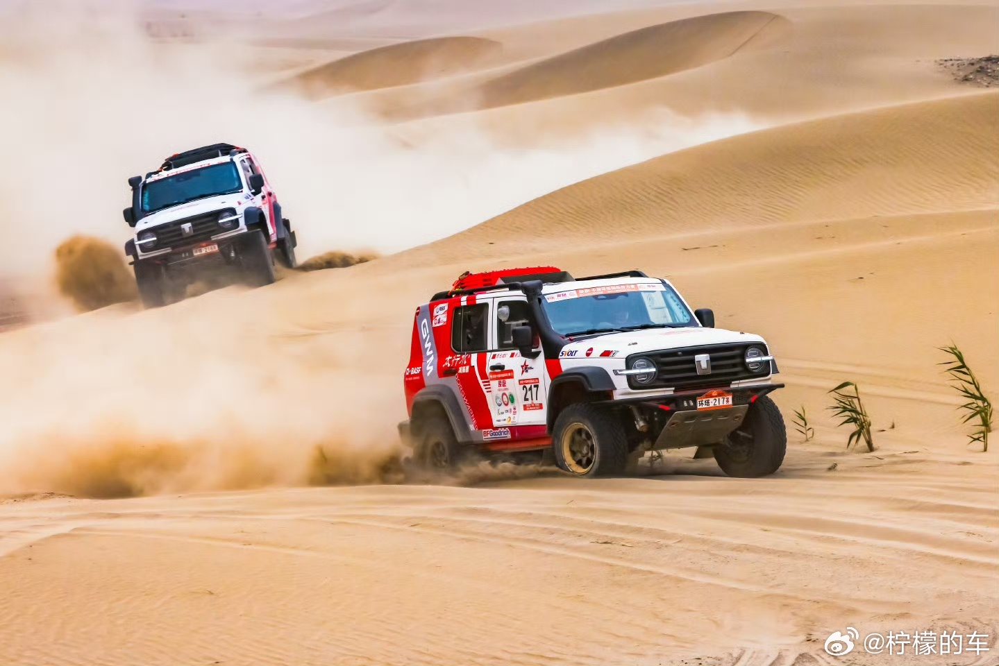 2026环塔拉力赛就要开赛了，我们的老朋友长城汽车自然也没缺席，他们还面向全球范