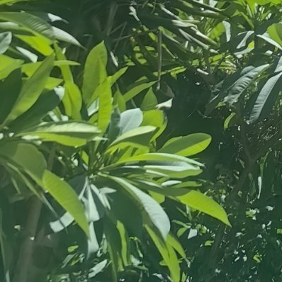 每日一善 在人生的旅程中，每个人的生活都离不开别人的帮助，因为自然界的任何事物都