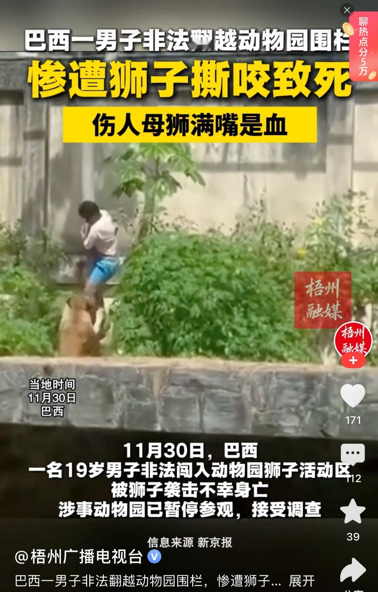 巴西的男人就是厉害的，小伙子19岁就跑到了动物园里，跟母狮子来一个拥抱，结果大家