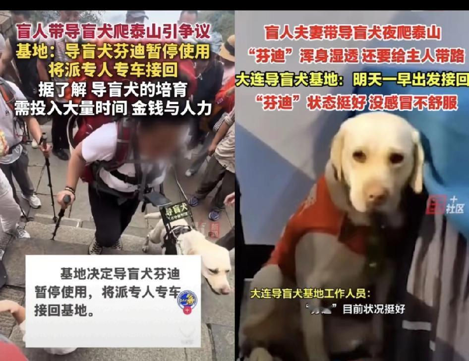泰山那对“作死”的盲人夫妻，
新料一爆更让人膈应！
俩北京按摩师做了8年，客人好