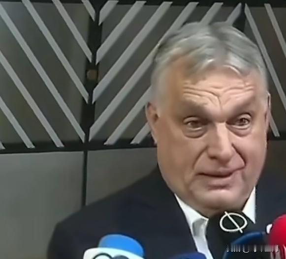 乌外长西比加将奥尔班比作希特勒的走狗，并指责他阻碍欧洲和平进程
这场争执源于匈牙