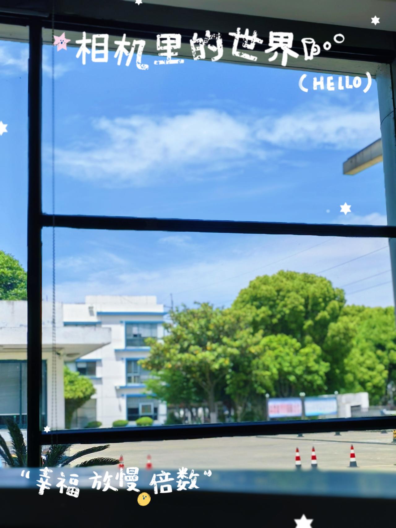 抬头赏窗外景，
低头品杯中茶。

此刻，就很好～

初相识的朋友，
会觉得我有一