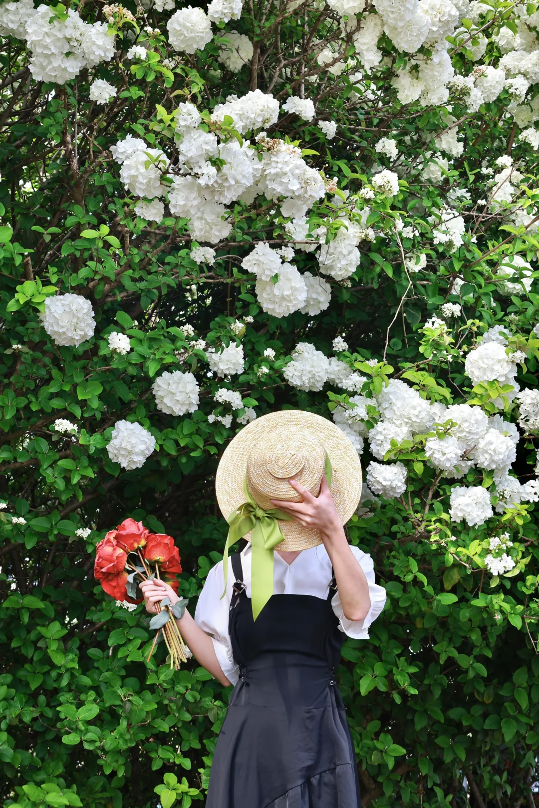 九堡大桥木绣球闯入莫奈花园（附地图攻略）