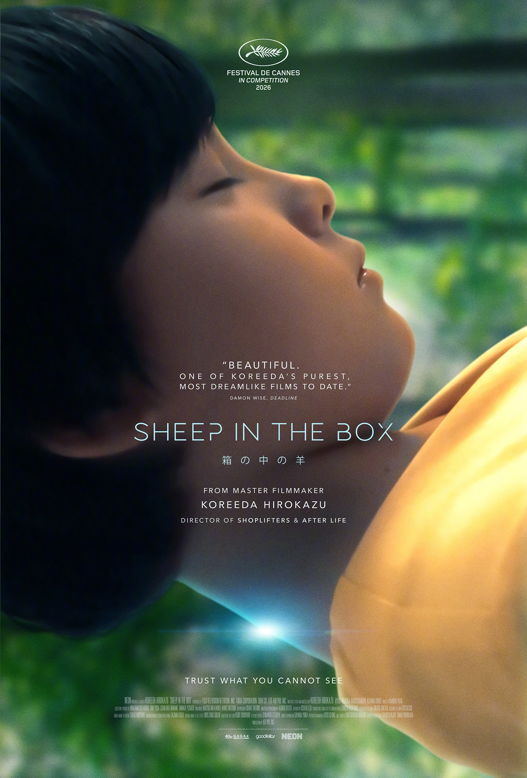 是枝裕和新作《盒子里的羊》发北美海报！7月24日北美上映～已看过，比不了导演之前
