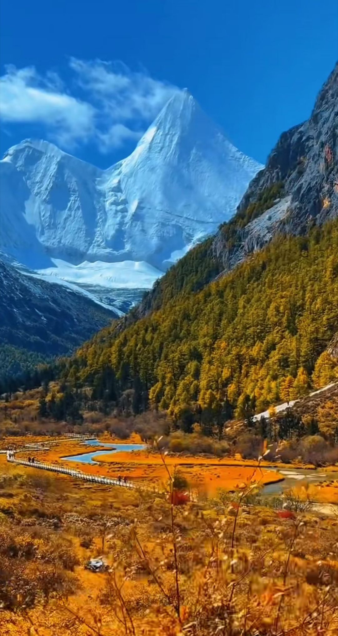 见过稻城亚丁的秋，从此千秋无绝色！独行路上见惊喜——     风景要自己看，路还