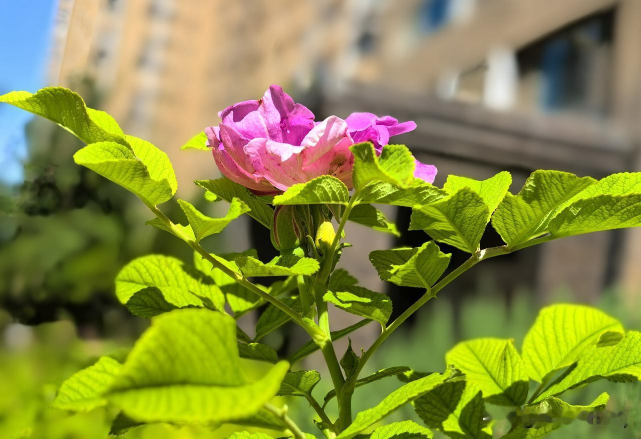云影波光天上下
花香鸟语路西东