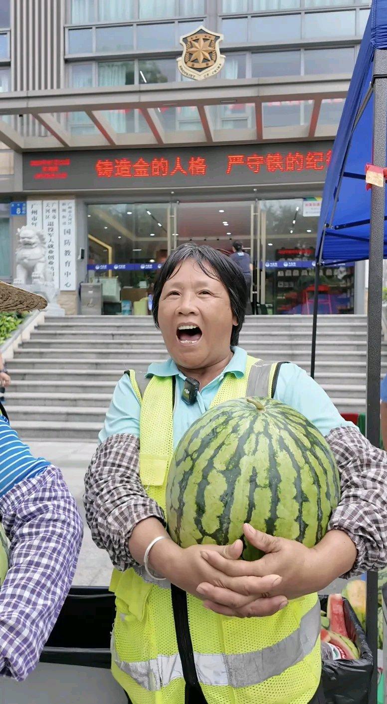 河南素有“全国西瓜第一产区”之称，可今年多地却遭遇西瓜滞销。成熟的沙瓤西瓜积压田