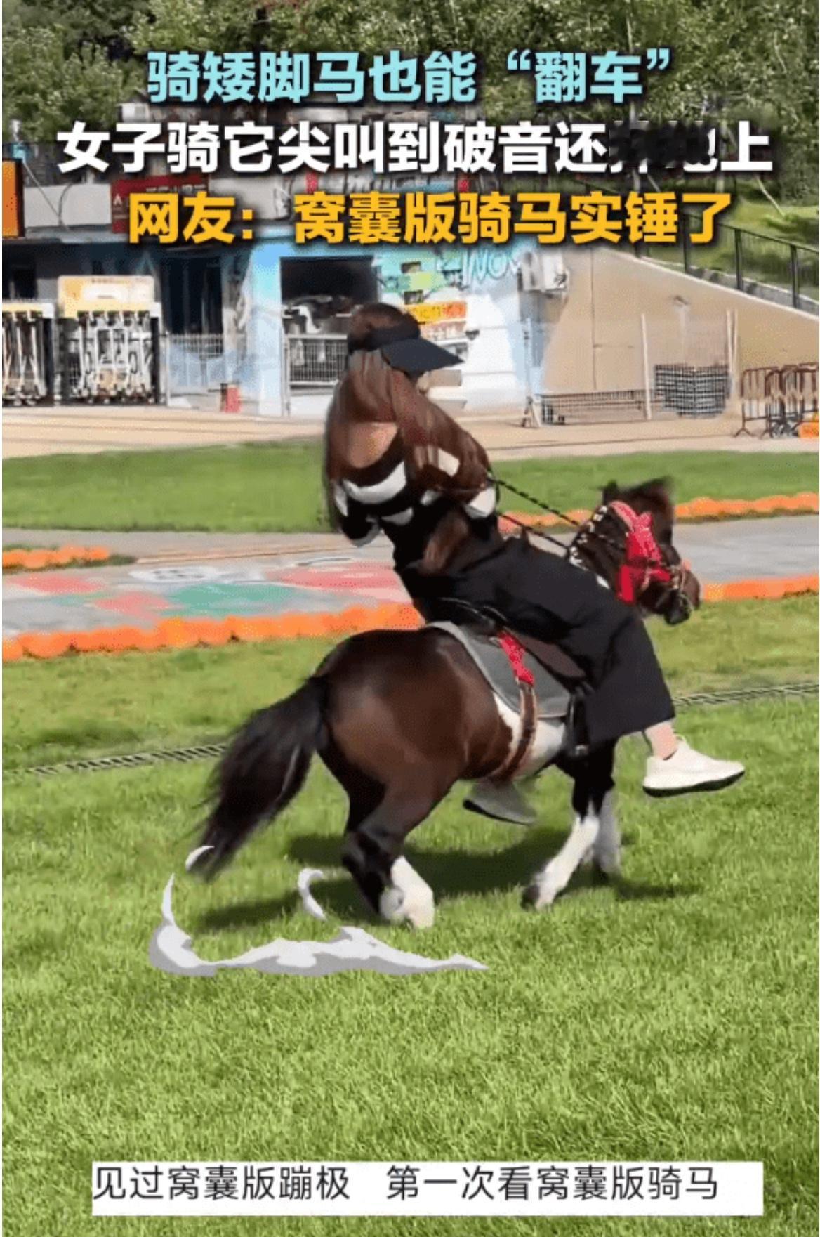 女子骑矮脚马尖叫到破音还摔了，一位女子骑在一匹白色矮脚马上，马匹突然加速奔跑，女