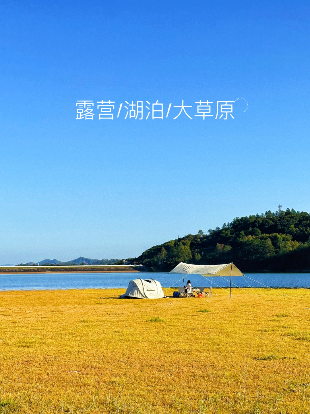 不藏了！广州小呼伦贝尔大草原！露营看牛羊🐮