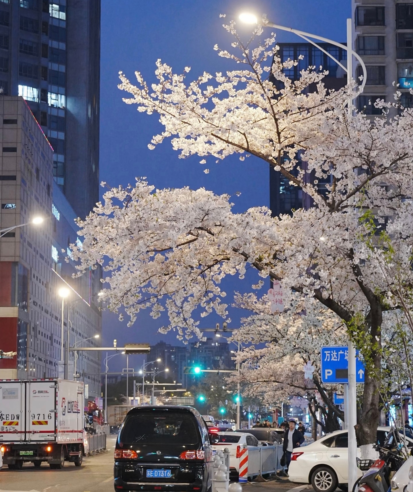 夜深春静，花好月圆。 