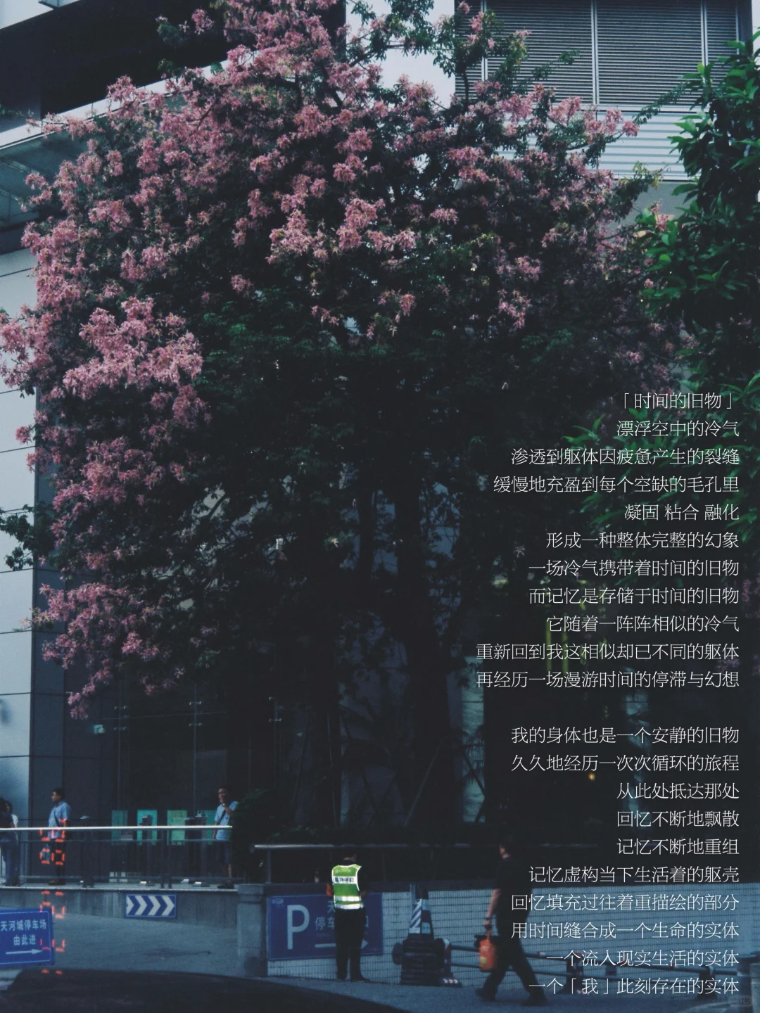 生活啊，它从未回应我对幸福的渴求。