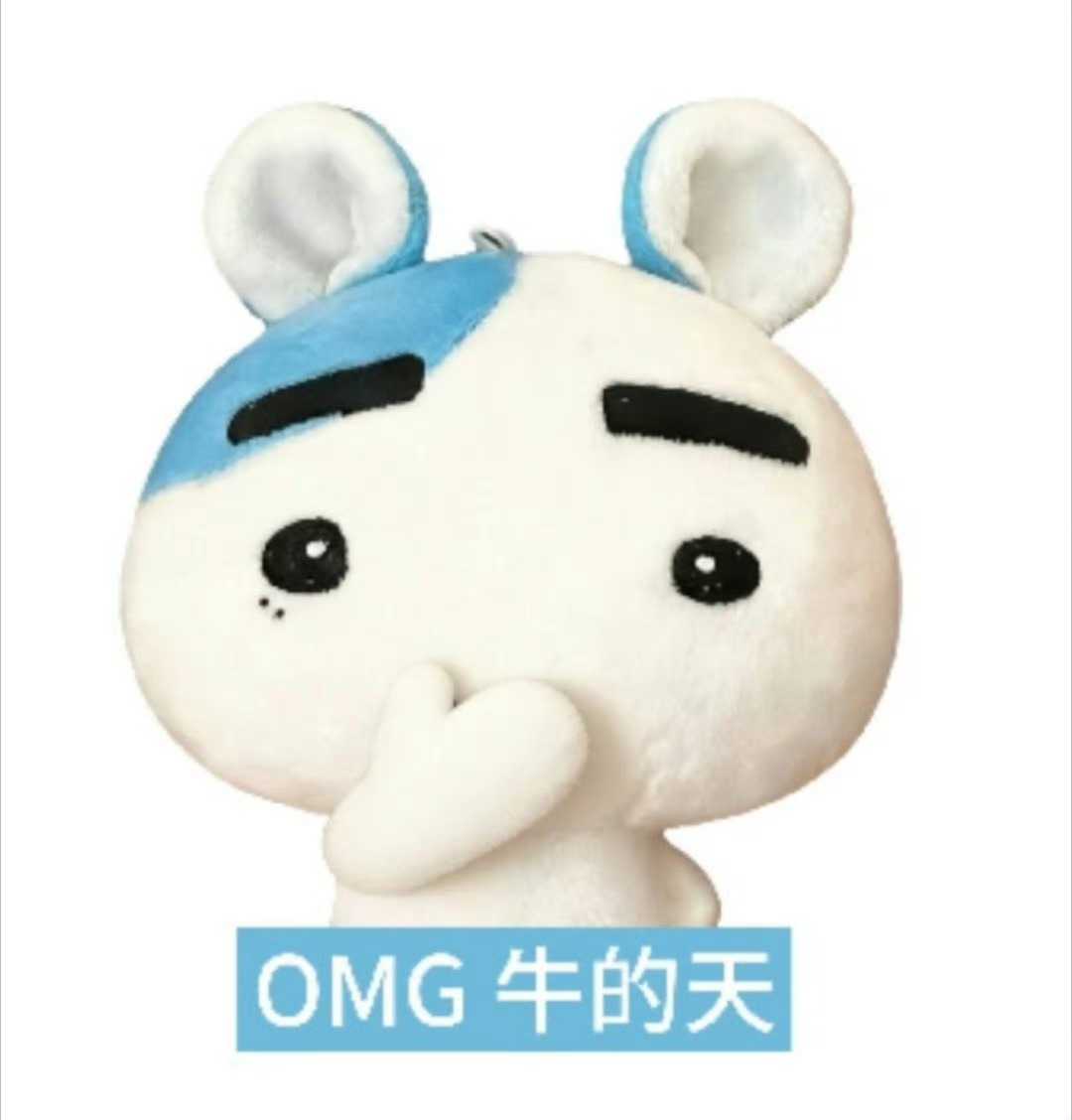 我发现奇奇丝们网感好牛啊，那个出发哥我一直都在刷到，而且都是高👍，还有文旅在发