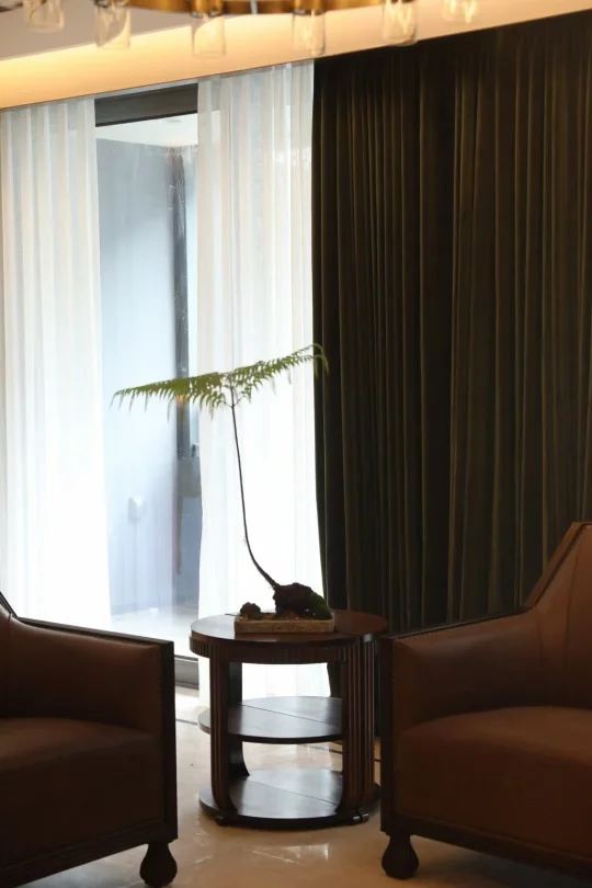 植物在空间里的点睛之笔