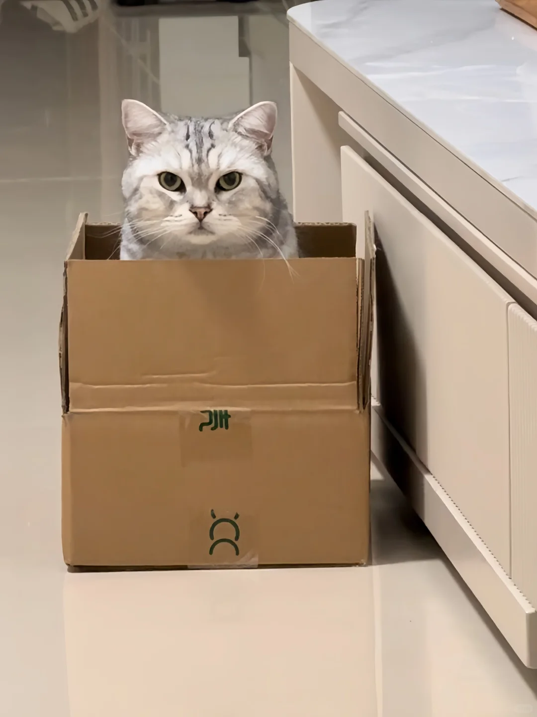 您的快递已送达～📦