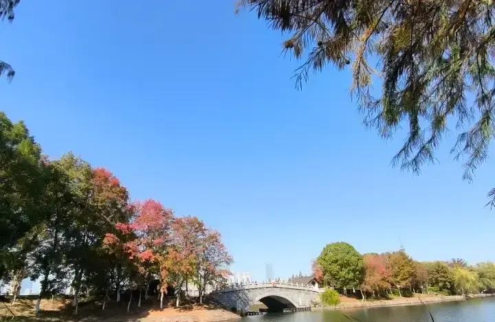 娄底这波操作，活脱脱自己挖坑。
12号演唱会占球场，13号原定的淘汰赛差点泡汤