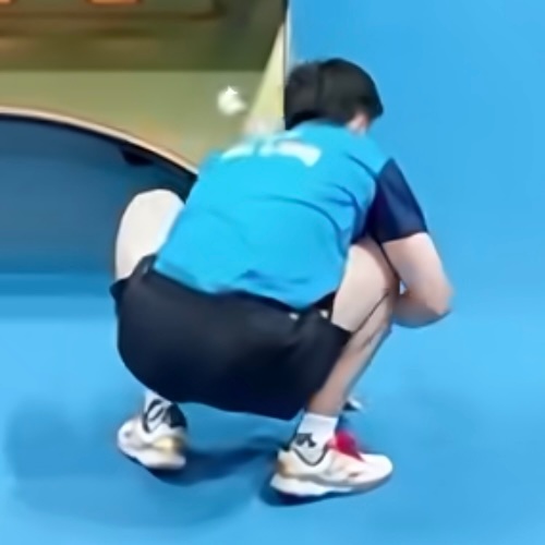 被小白球痛击了的小小一盆咪好萌 