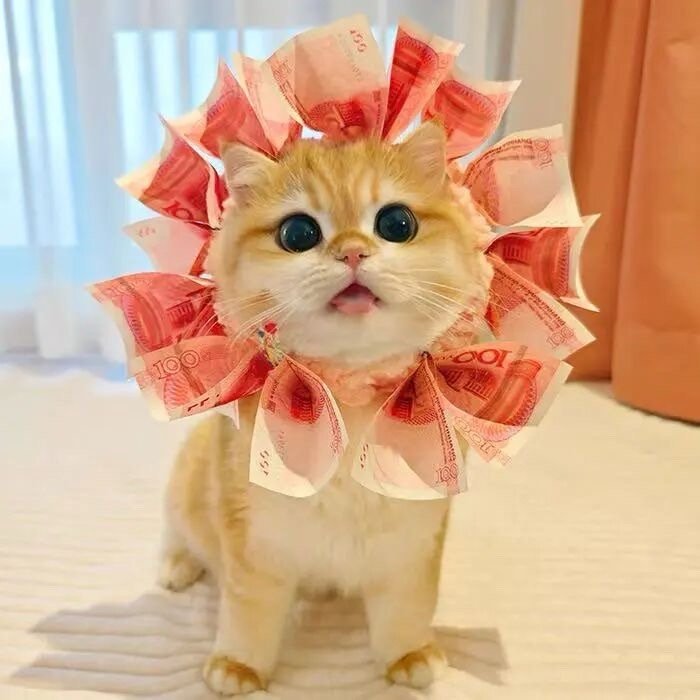 𝕲𝖊𝖙 𝖗𝖎𝖈𝖍 💵💴💷“有钱人的解药是爱，普通人的解药是钱