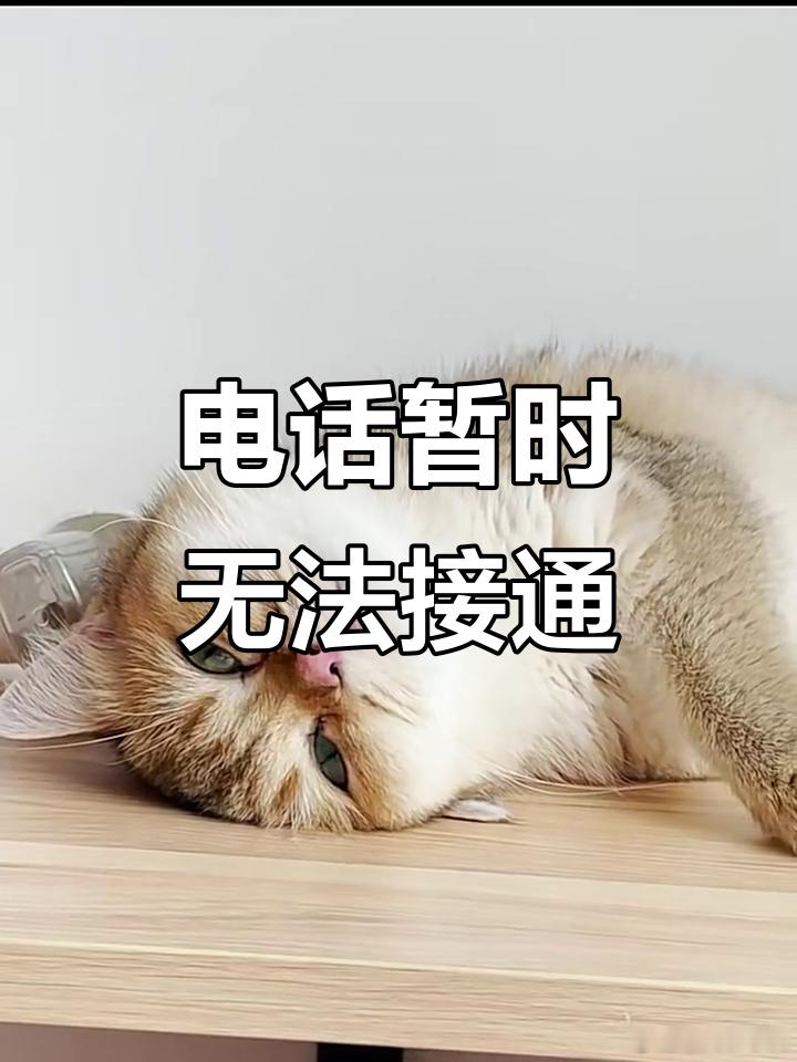 故意不接领导电话事情反而解决了得分什么公司吧，高效对事不对人的公司，领导是有能力