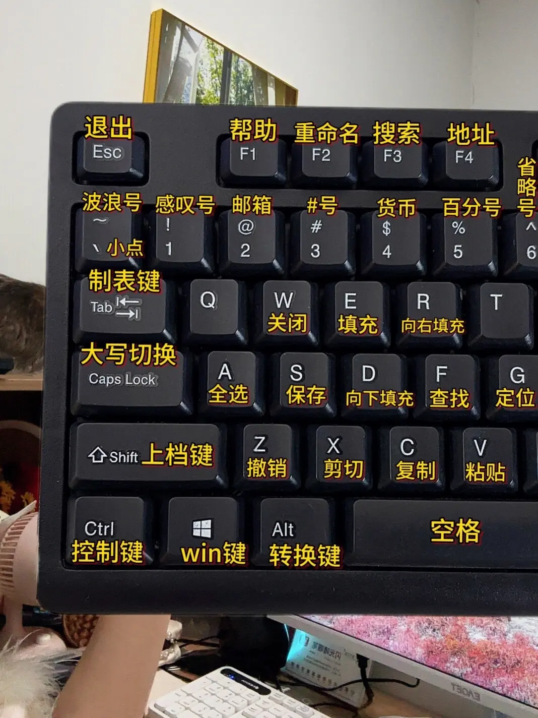 跟着我偷偷逆袭～脚踏实地一步一个脚印去学。