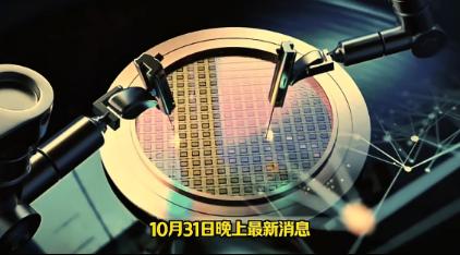 荷兰现在收场难了！
海牙消息：10月31日内阁连夜召集经济部、情报局与议会三大派