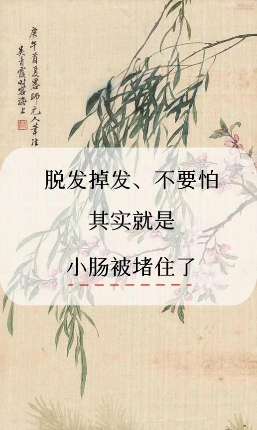 脱发掉发、不要怕
其实就是
小肠被堵住了

用疏肝的方子帮患者长出头发，脱发的苦