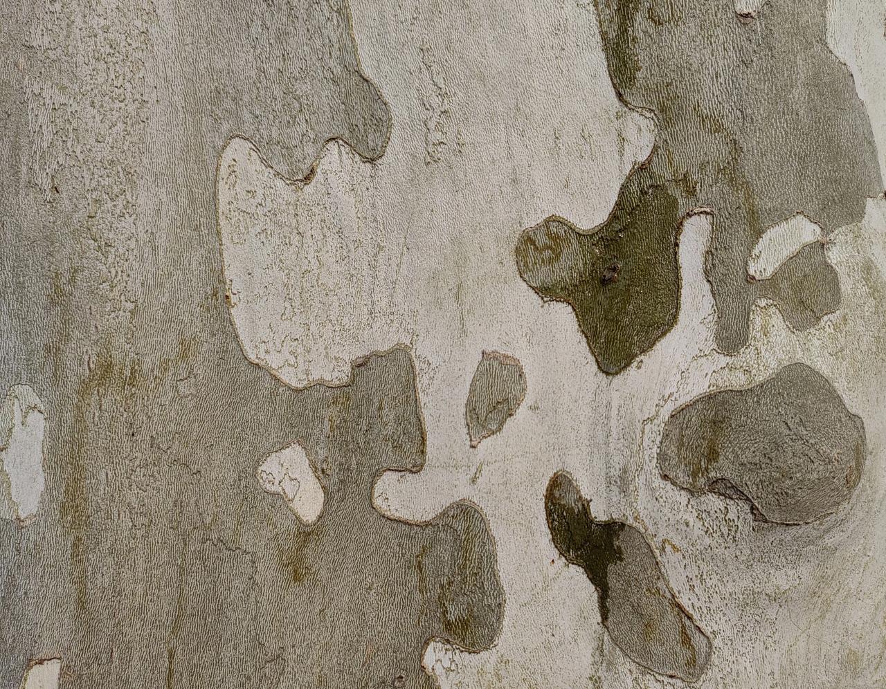 洪承畴降清后没少出力，属于正常“退休”，“退休”待遇很低，为什么死后被康熙钦定为