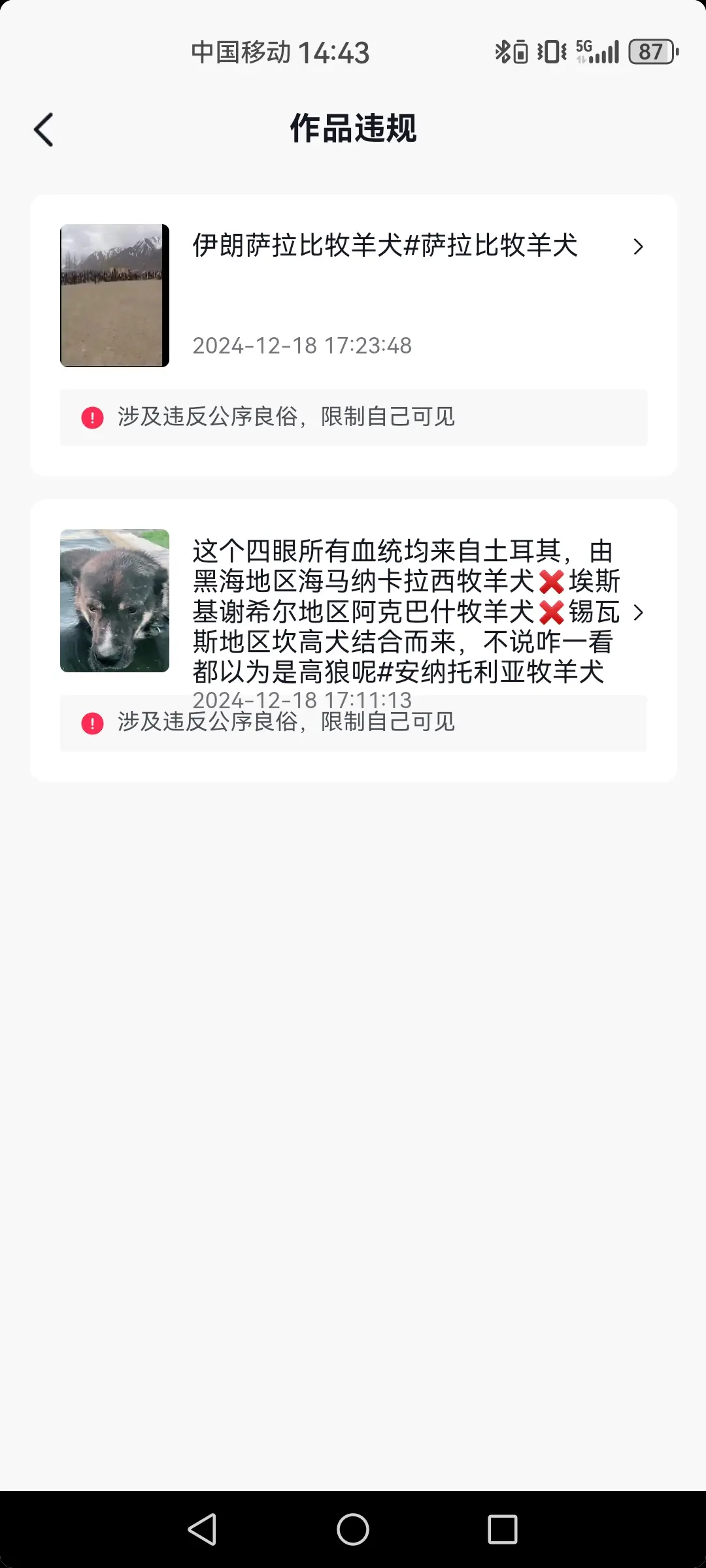 这都给我屏蔽，申诉都没用