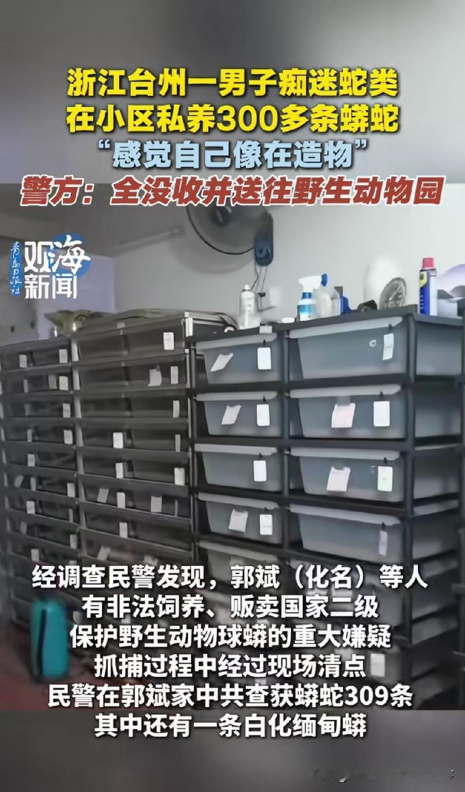 小区肯定不能养，台州这小伙还养了300多条，太吓人了，对别人来说威胁也太大了！