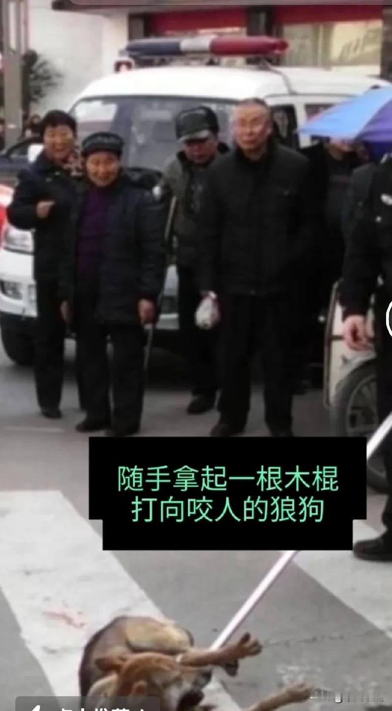小区内一小女孩玩耍，被一只未拴绳的狼狗死死的咬住不伸口，小区的保安拿起根木棍/打
