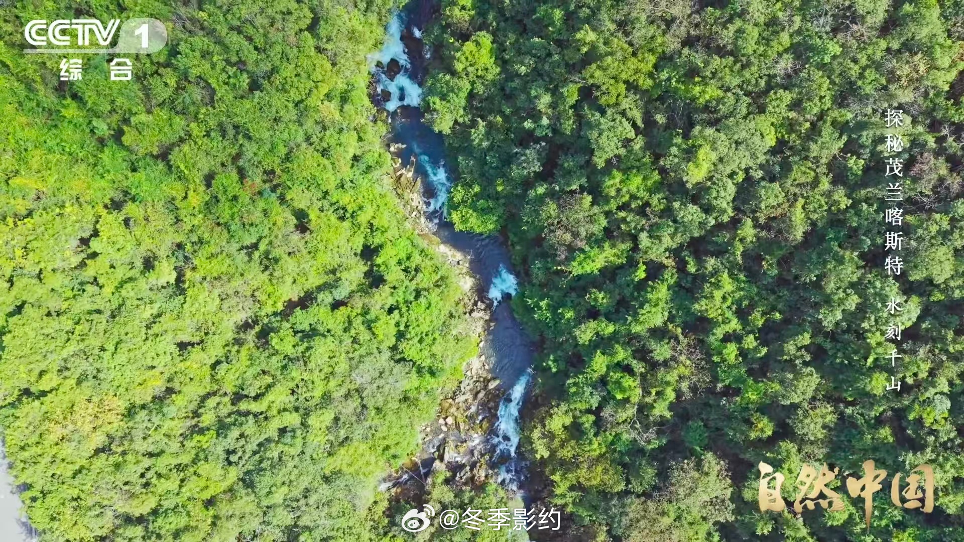 原来贵州曾是大海贵州山顶发现亿万年前珊瑚化石 从大海到山地，贵州的变迁被刻在了山