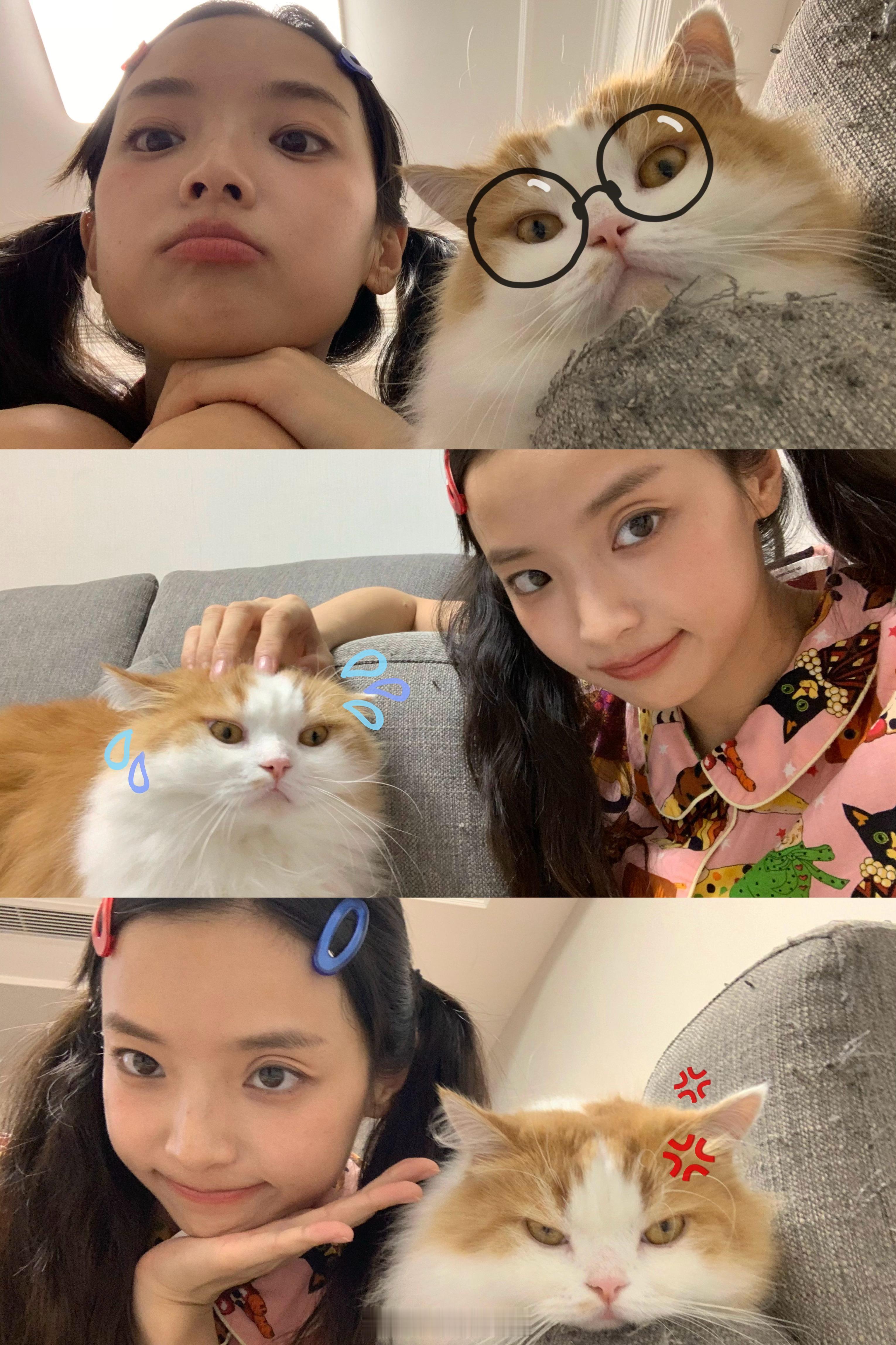 更新一下家庭现状🐾 ​​​