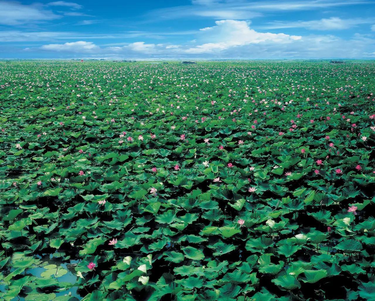 当你真正踏上这片土地便会发现——别处不过是山水间散落着几行诗句，而山东icon，