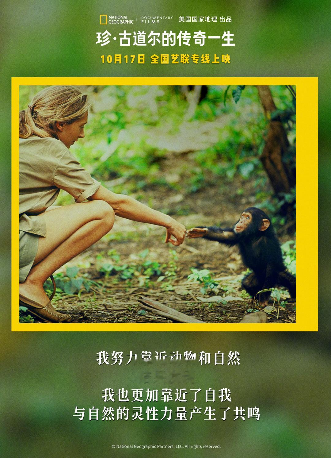 终于等到了#珍古道尔的传奇一生今日上映# ，当教科书的传奇女性故事被搬上大银幕，