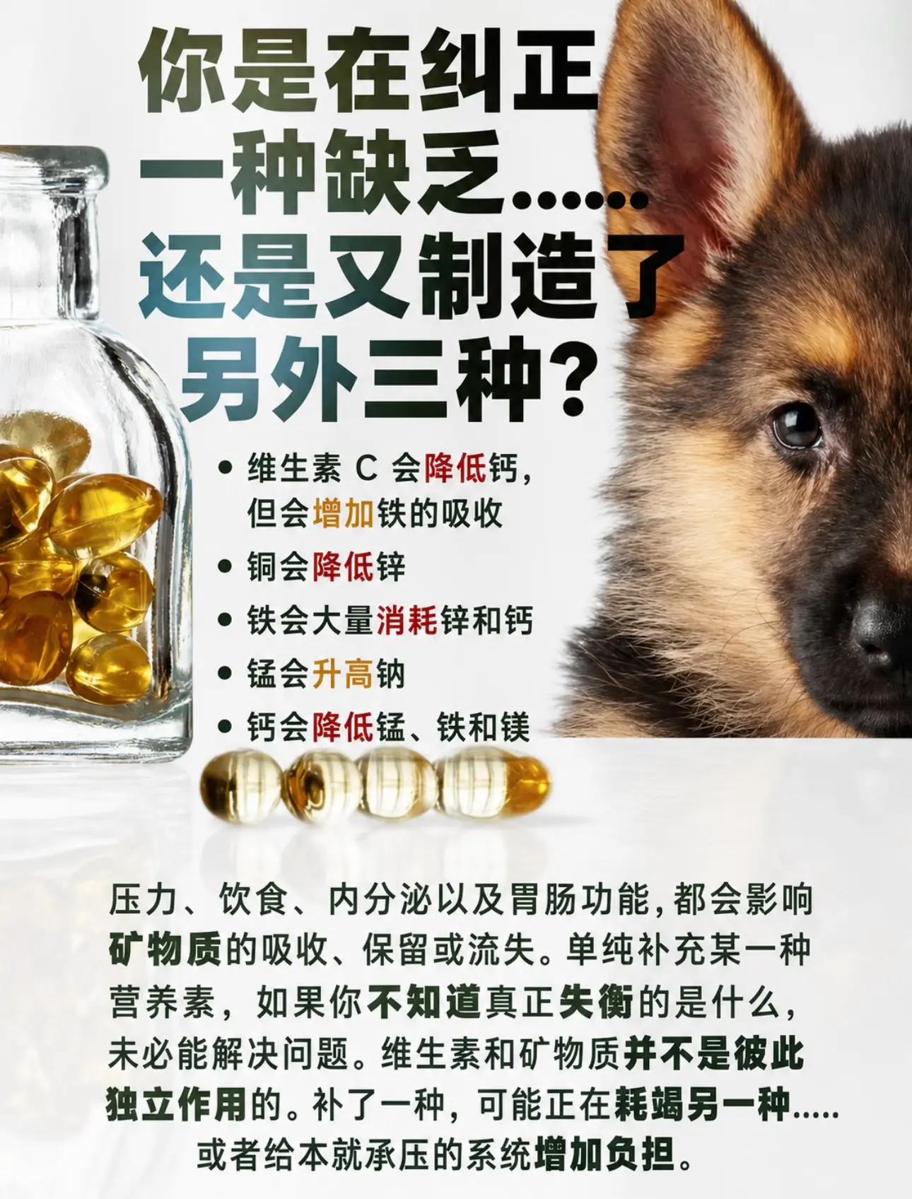 矿物质失衡与炎症/压力的关联。💡 营养失衡的影响 • 矿物质比例失衡...