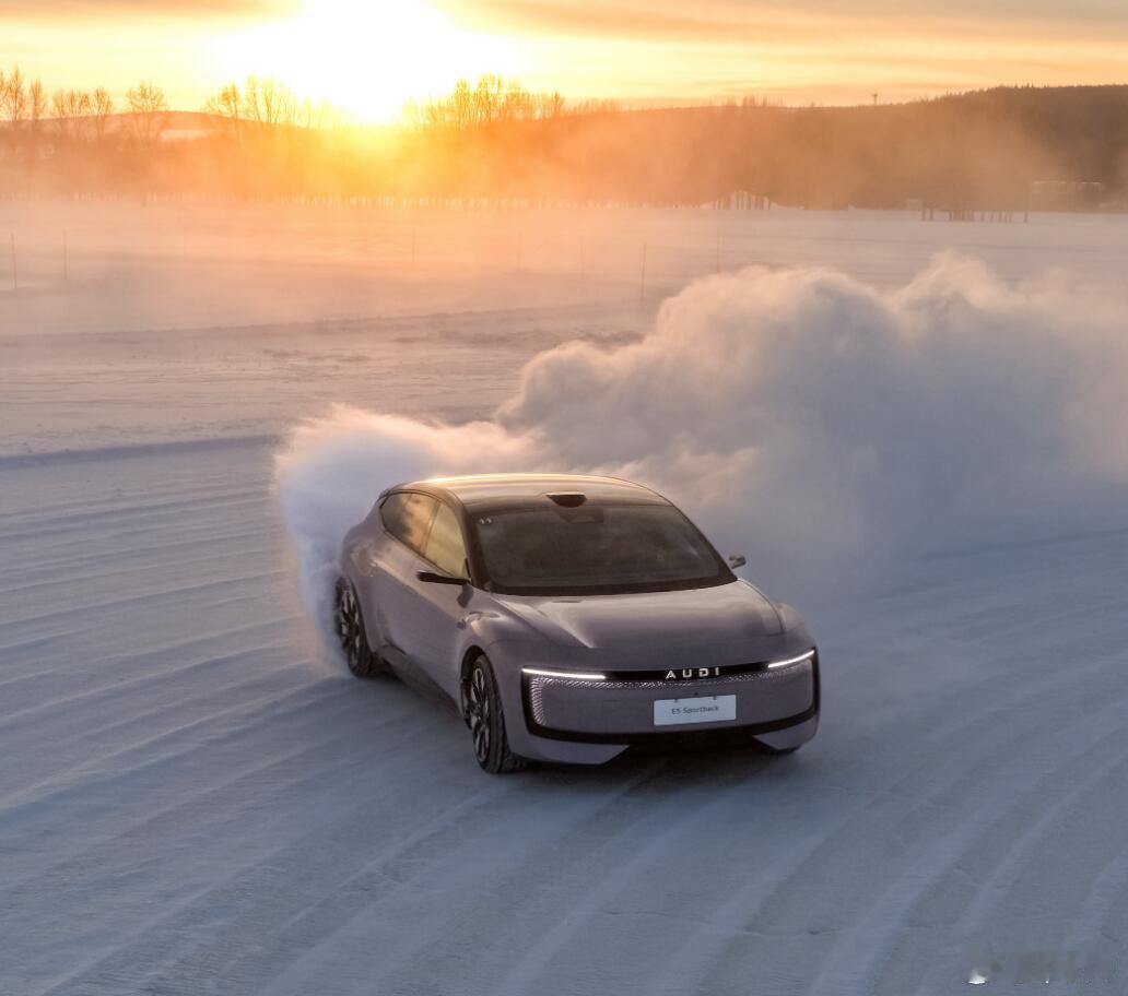 很难不让人想起曾经奥迪Quattro S1在WRC赛场上的雄姿！能在这种安全的场