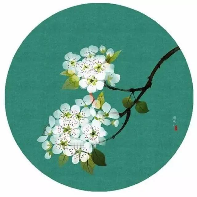 “风气太坏了，人都被带坏了”河南王婆相亲，众人齐聚河南；郭有才意外大火，众人齐聚