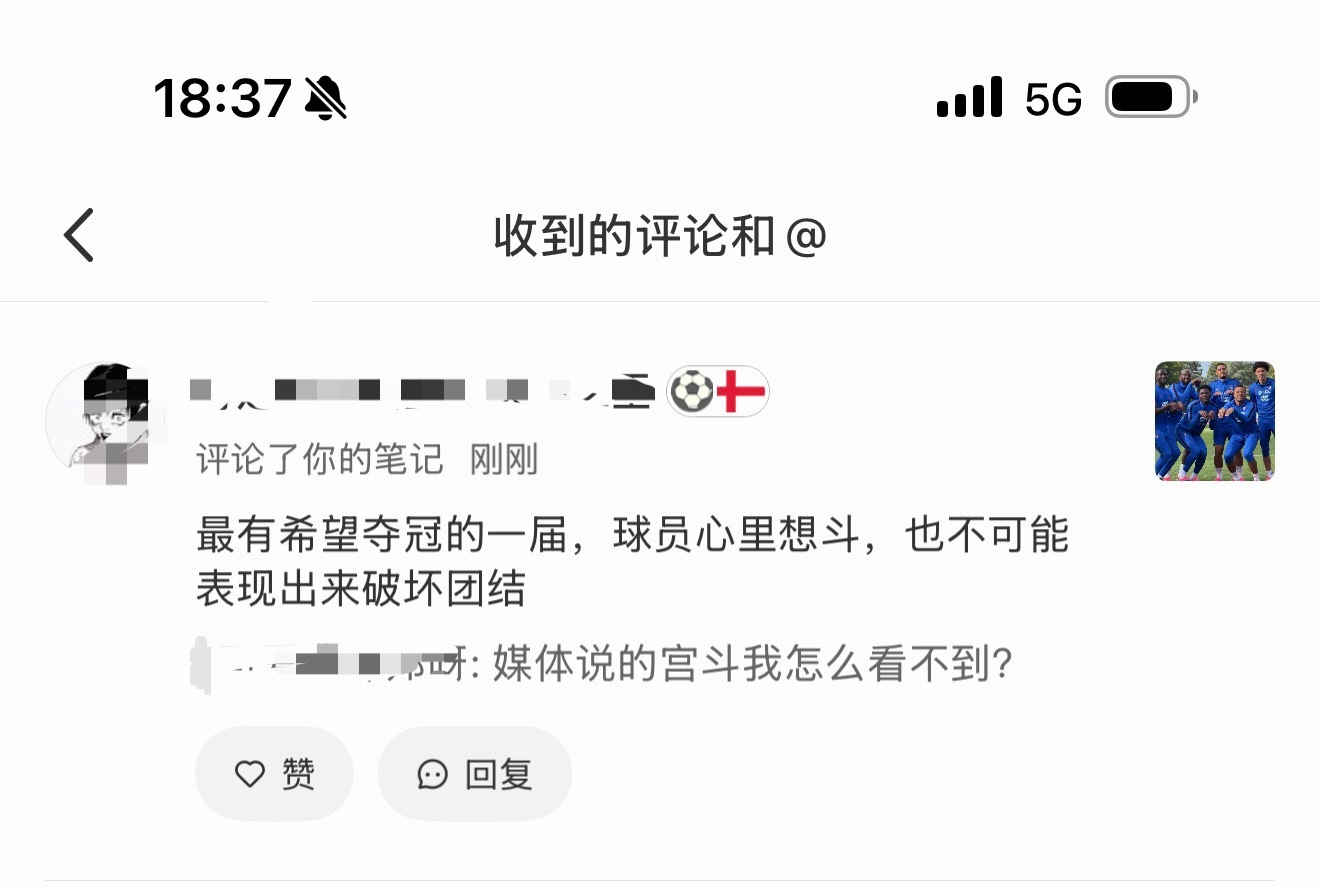 高卢乌鸡演技大赏 