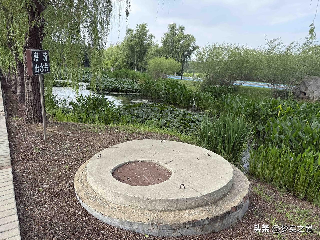 【小对联】
上：水土；
下：……？