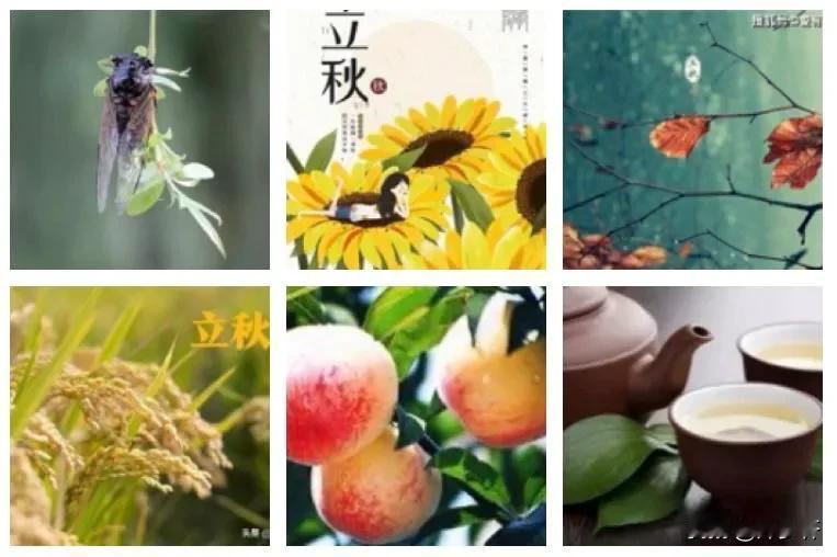 #夏日生活打卡季#【啰唝曲·今日立秋】
文/风鸽（张晓峰）
一
夏尽余炎在，清爽