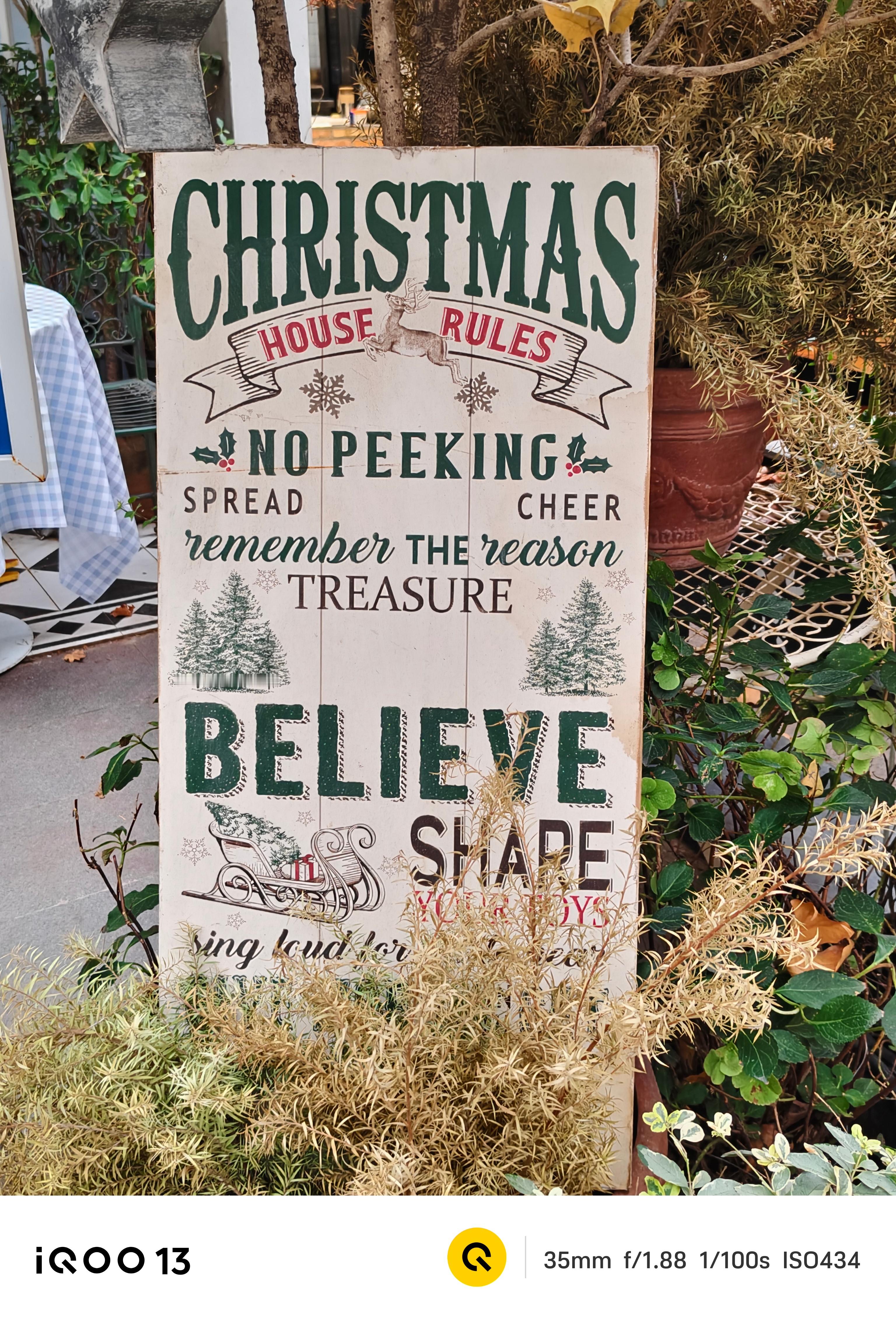 这两天换iQOO 13用用，今天出门正好也拍了一些，记录分享生活还是够用的。蓝厂