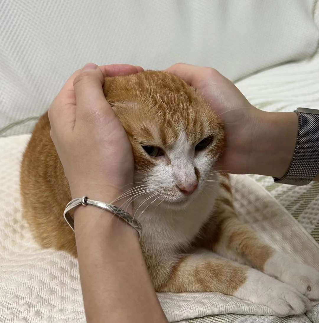 所以暂时将你耳朵闭了～起来～