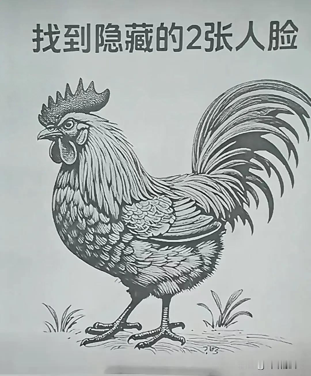 两张全找到了，今天这张图一眼就能看出来，看来我的眼神还可以，你能找出来吗？#眼力